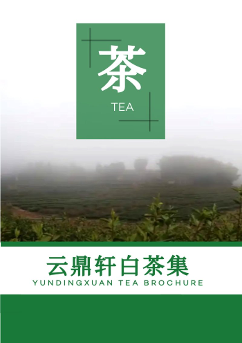 软件定制开发：如何选择最适合你的工具和伙伴？